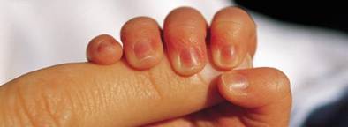 babe
