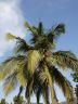 DSCN0504.jpg