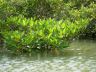 DSCN0646.jpg